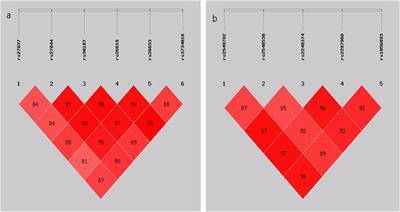 Polymorphisms in ERAP1 and ERAP2 Genes Are Associated With Tuberculosis in the Han Chinese